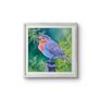 Baby Robin | FineArt Print | framed Image 3