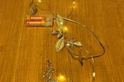 Battery Powered Lights