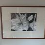 Large Original Framed Pencil / Graphite Drawing Image 4