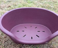 Plastic dog bed