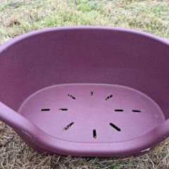 Plastic dog bed