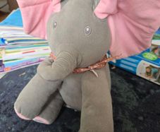 peekaboo elephant