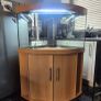 Fish tank and big lizard tank Image 2