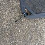 Volvo C40/XC40 Boot/Cargo/Dog Safety Net Image 7
