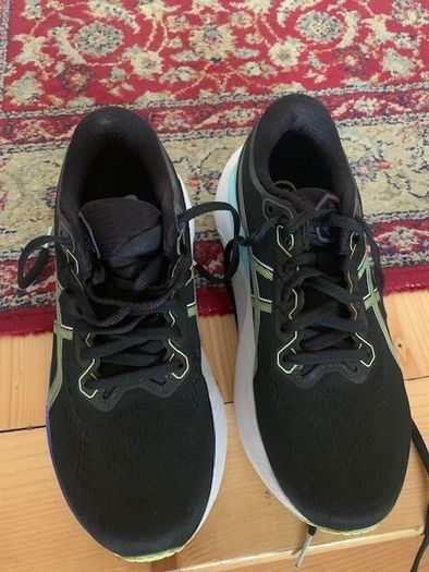 Asics Kayano