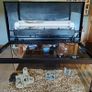 Fish tank Image 2