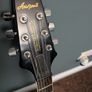 Aria Pro II TA-40 Hollowbody '87 Image 3