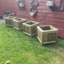 Planter Boxes Image 3