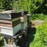 Bee hives Image 6