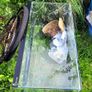 fish tank with crack Image 2