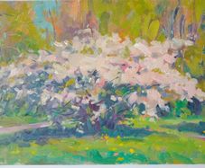 "Cherry Blossoms,Springtime,St Anns Park,Clontarf" Large Oil on Canvas Painting.Artist.Norman Teeling.