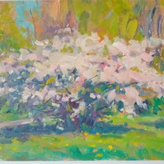 "Cherry Blossoms,Springtime,St Anns Park,Clontarf" Large Oil on Canvas Painting.Artist.Norman Teeling.