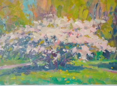 "Cherry Blossoms,Springtime,St Anns Park,Clontarf" Large Oil on Canvas Painting.Artist.Norman Teeling.