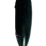 Orthoceras Fossil Pendant Image 2