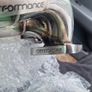 Toyota starlet 4efte stainless manifold glanza gt turbo Image 4