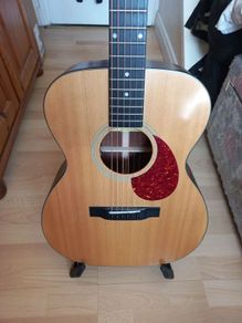 Eastman E1OM with Misi pickup.