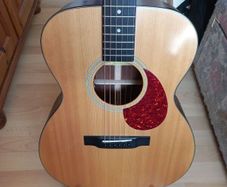 Eastman E1OM with Misi pickup.
