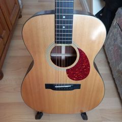 Eastman E1OM with Misi pickup.