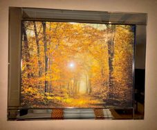 Autumnal Trees Framed Picture
