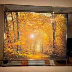 Autumn Trees Framed Picture