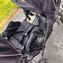 Buggy Image 5