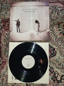 Nick Cave And The Bad Seeds; push the sky away LP