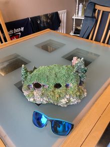 aquarium