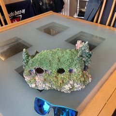 aquarium