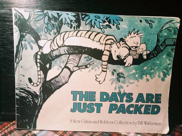 1993. The Days Are Just Packed. A New Calvin And Hobbes Collection By Bill Watterson.