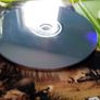 Call of duty 2 Big Red one Xbox Original Games Original Pal version Image 8
