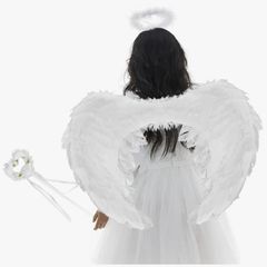 Angel Wings White Feather with Halo and Magic Wand