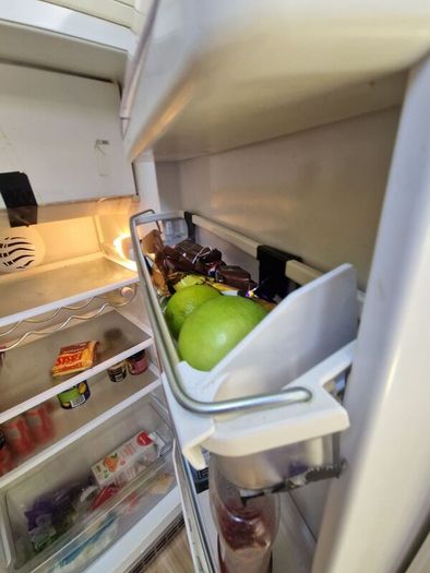 Smeg Fridge