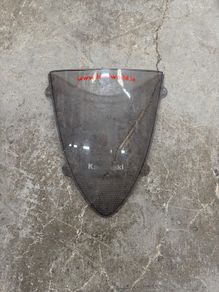 kawasaki screen