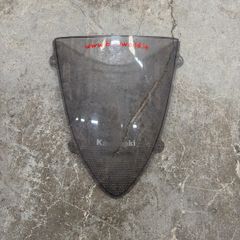 kawasaki screen