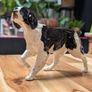 Beswick dog figurine Image 2