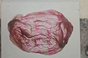 Susumu Yokota &amp; Rothko CD - Distant Sounds Of Summer