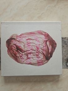 Susumu Yokota & Rothko CD - Distant Sounds Of Summer