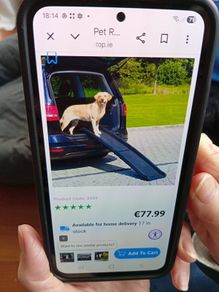 Dog ramp