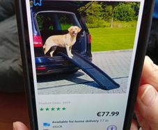 Dog ramp