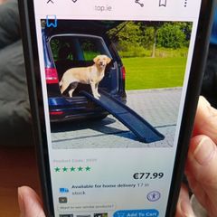 Dog ramp