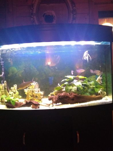 Juwel Vision Tank + Stand 260 Litres