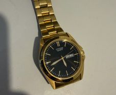mens citizen watch