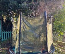 trampoline (free)