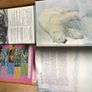 1001 Questions & answers, Bears & Sharks Books Image 2