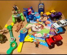 Paw Patrol Large Job Lot Bundle
