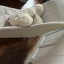 Lovers seat plus 2 heart pillows Image 3