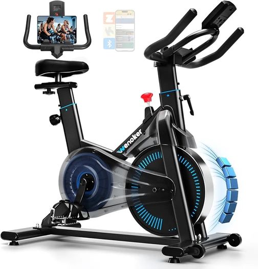 Exercise Bike with Adjustable Resistance, Quiet Home Trainer Bicycle with App, Ergometer Indoor Spinning Bike for Cardio Training at Home, Fitness Bike up to 160 kg