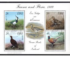 1989 Ireland Fauna & Flora Game Birds of Ireland Miniature Sheet Fine Used with First Day Issue Cancel