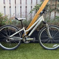 Ridgeback Destiny 24" Bike