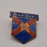 1930s Vintage Fine Gael Blue Shirt enamel badge Image 2